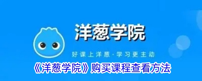 洋葱学院课程查询指南：轻松找到你的学习内容