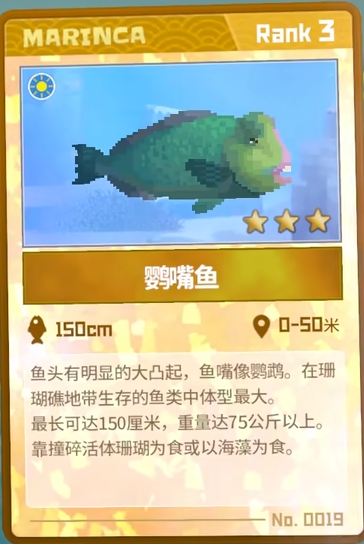 潜水员戴夫的鹦嘴鱼捕捉心得