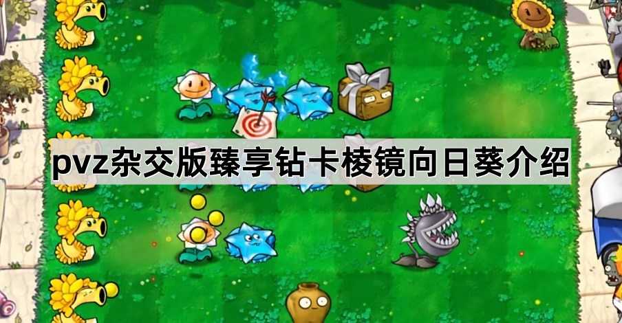 植物大战僵尸杂交版臻享钻卡棱镜向日葵深度体验