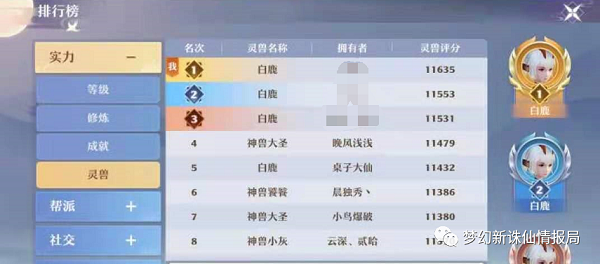 梦幻新诛仙宠物怎么选：45级后选择指南与实战技巧