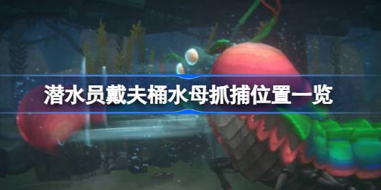 潜水员戴夫桶水母的藏身之处