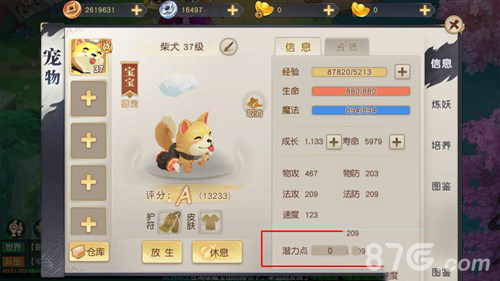 火王手游宠物加点攻略：属性分配与技能重置详解