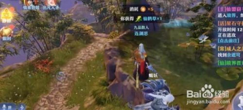 梦幻新诛仙铜神树怎么找