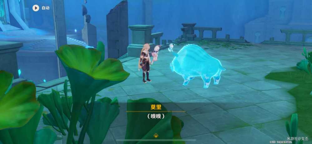 枫丹水仙十字大冒险任务攻略：新手必看，轻松完成