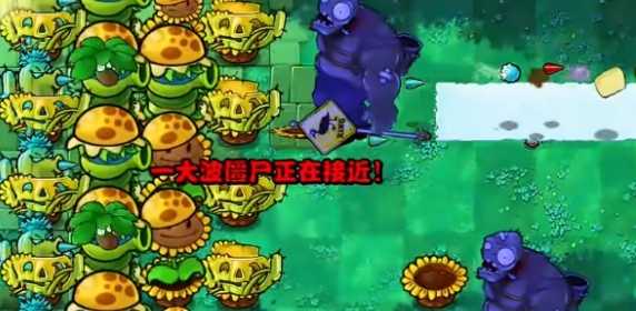 植物大战僵尸杂交版挑战模式第16关通关攻略:强力植物搭配与使用技巧