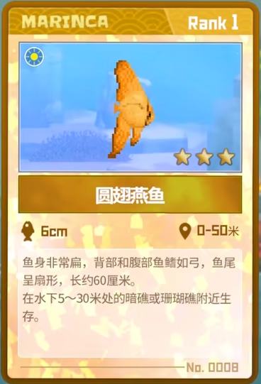 潜水员戴夫圆翅燕鱼抓捕全记录