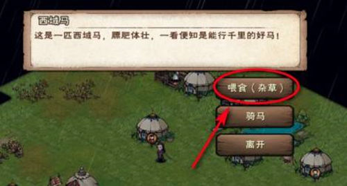 烟雨江湖：骑西域马的小诀窍