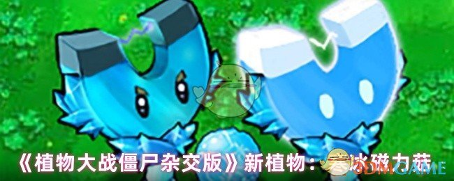 植物大战僵尸杂交版寒冰磁力菇深度评测:吸铁减速,控场利器!