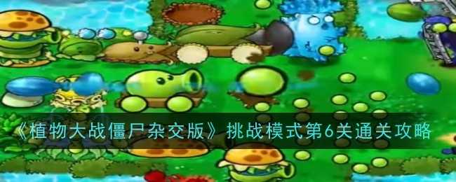 植物大战僵尸杂交版挑战模式第六关通关秘籍:传送带植物利用全攻略