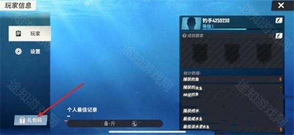 欢乐钓鱼大师2024礼包码全攻略：资源获取指南