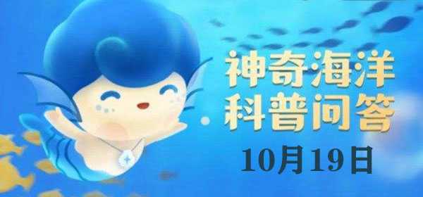 海星：被称为“海底蝗虫”的海洋动物