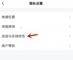 皮皮陪玩隐藏在线状态全攻略