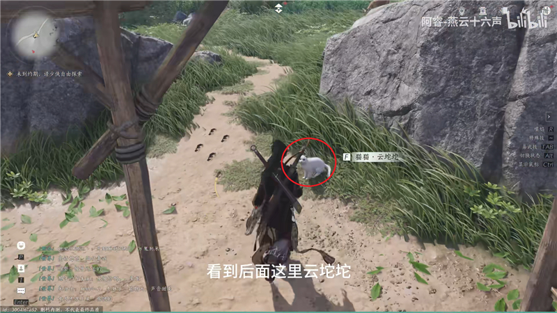 燕云十六声里的猫猫大发现