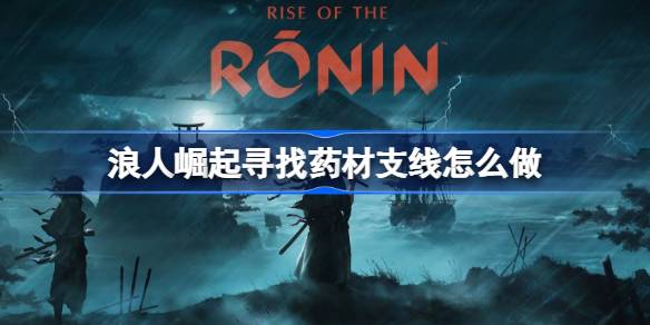 浪人崛起药材采集全攻略