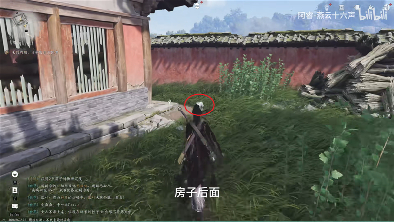 燕云十六声里的猫猫大发现