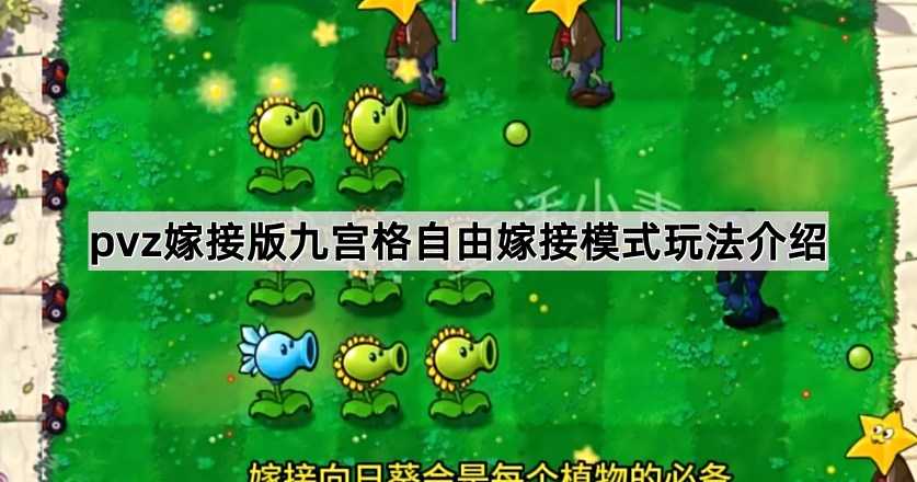 植物大战僵尸嫁接版九宫格自由嫁接模式玩法全解析