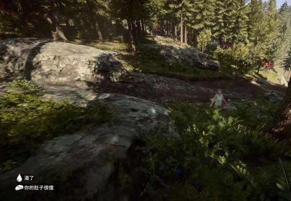 森林之子作弊码使用全攻略