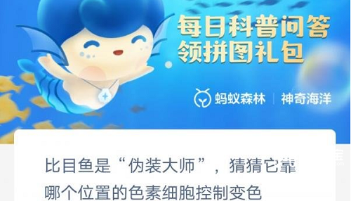 比目鱼变色之谜：肌肉中的色素细胞如何成就伪装大师