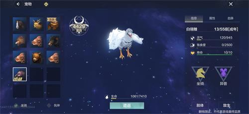 白翎雕在妄想山海里的踪迹和拍卖行秘密
