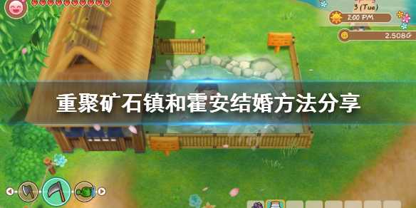 牧场物语重聚矿石镇与霍安的婚事全攻略：从提升好感度到成功求婚