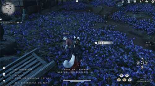 燕云十六声武林录探索任务“业火不熄”的完成攻略