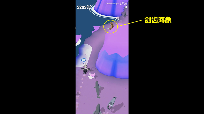 疯狂动物园极地特殊动物捕捉方法大揭秘