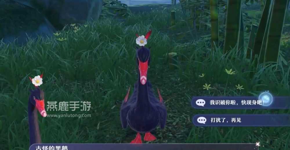 梦幻新诛仙迷路的黑鹅怎么找:详细步骤与位置指南