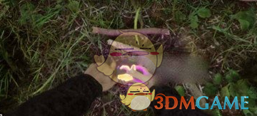 森林之子怎么快速生火-森林之子生火需要那些材料