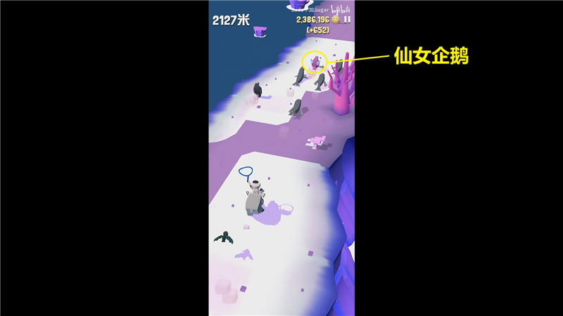 疯狂动物园极地特殊动物捕捉方法大揭秘