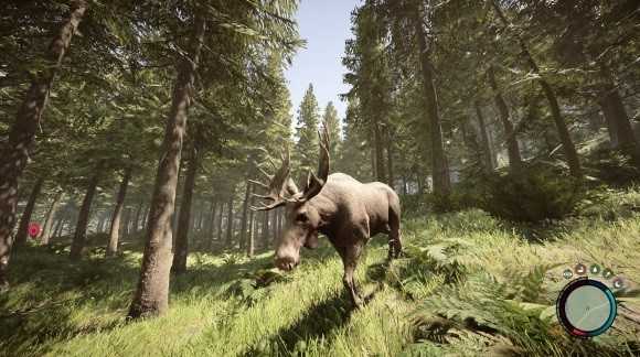 森林之子帐篷怎么拿起来