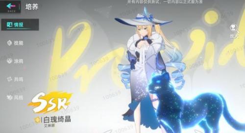 猫之城白瑰绮晶涂鸦配置指南：如何搭配才能发挥最大威力？