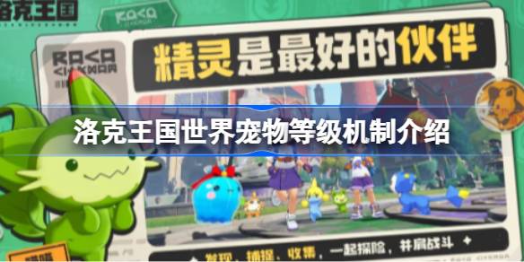 洛克王国宠物等级攻略：如何提升宠物等级与能力