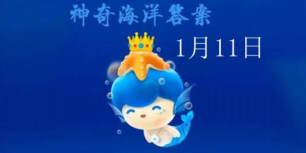 海参的神奇“呼吸树”：兼具呼吸与排泄的独特海洋生物