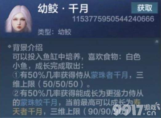 珊瑚大餐：归渊鲛的专属美食之谜