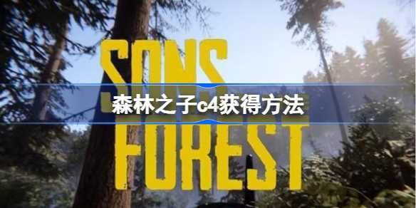 森林之子C4合成全攻略