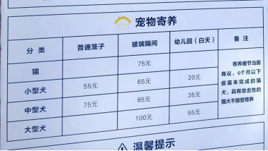 新手如何选宠物？避坑指南省3000元饲养费
