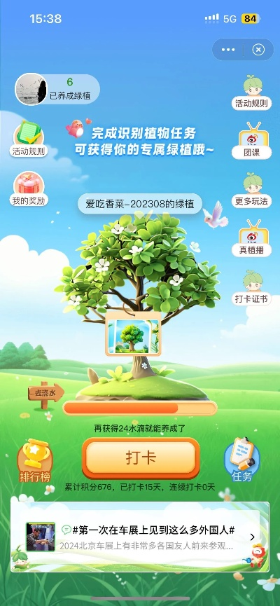 草木们健康成长吧任务怎么接,详细指南与技巧分享,助你轻松完成任务