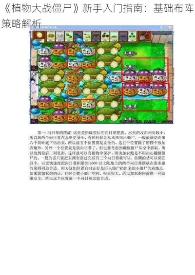 植物大战僵尸攻略图解,从入门到精通,全面解析战术布局