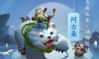 阿古朵怎么玩才厉害,打野思路与技能连招详解,阿古朵进阶教学
